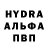 Канабис Bruce Banner Evelina Ukieva