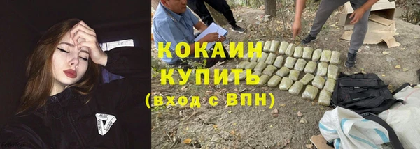 спайс Арсеньев