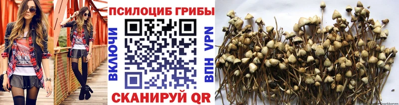 купить наркоту  Похвистнево  Галлюциногенные грибы ЛСД 
